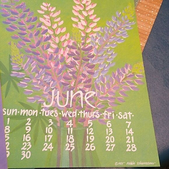 Vintage 1985 Nikki Schumann Poster Calendars in Plastic Frame Cottagecore - Picture 8 of 11